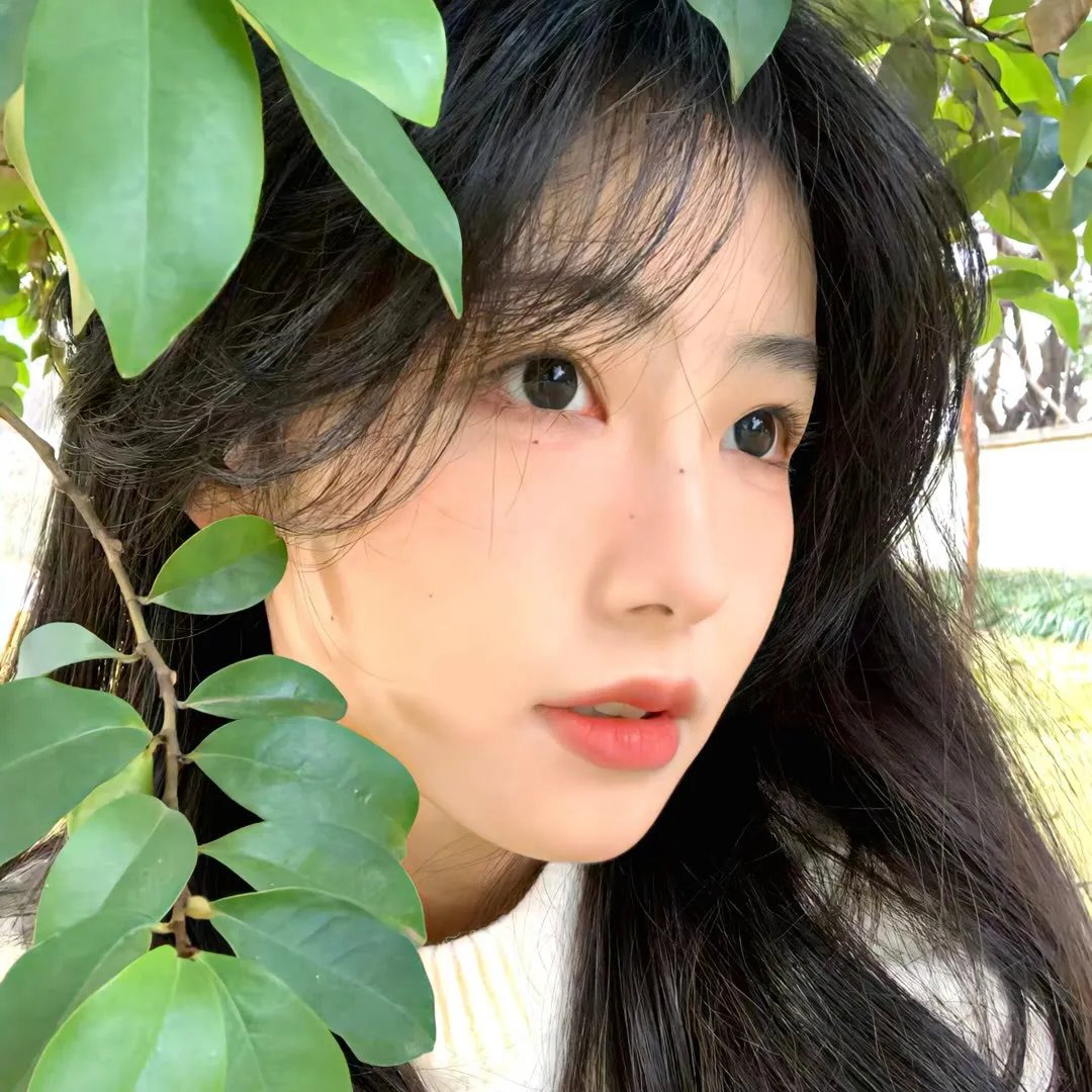 白宫效应